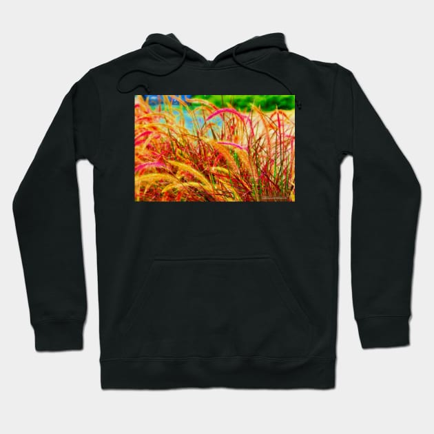 Dancing Weeds Hoodie by michaelasamples